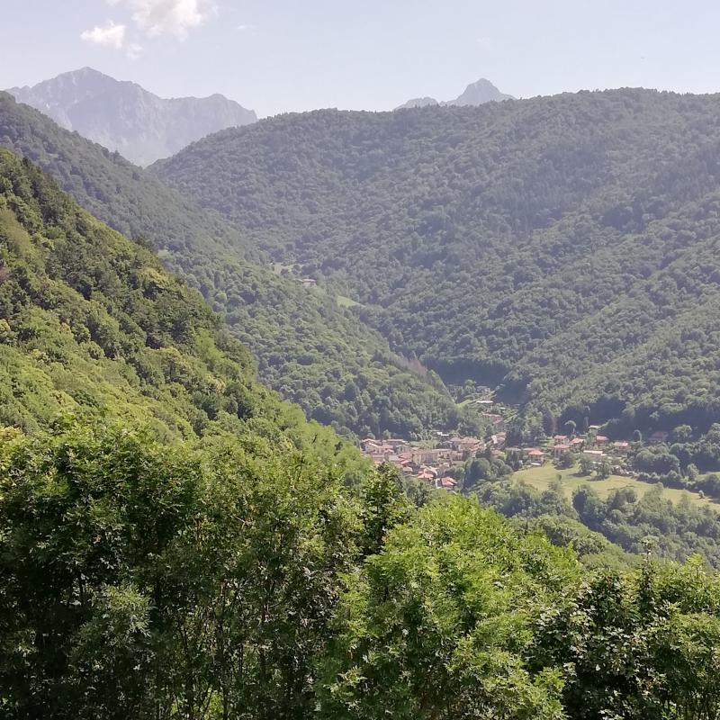 lasnigo