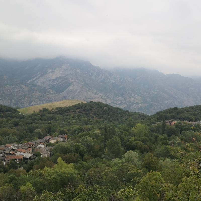 Fotosegnalazione di Mattie