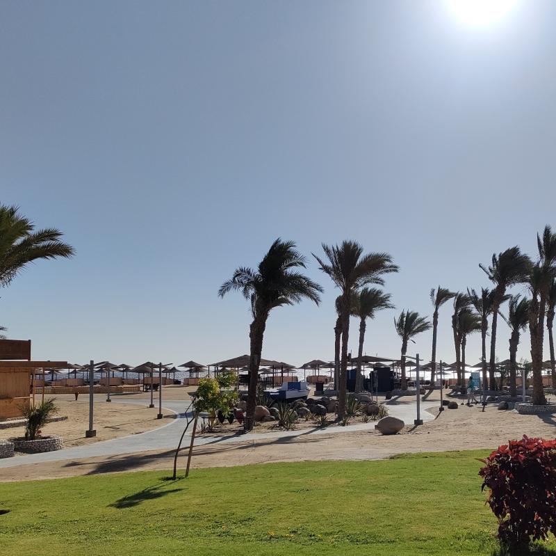 Fotosegnalazione di Marsa alam international airport