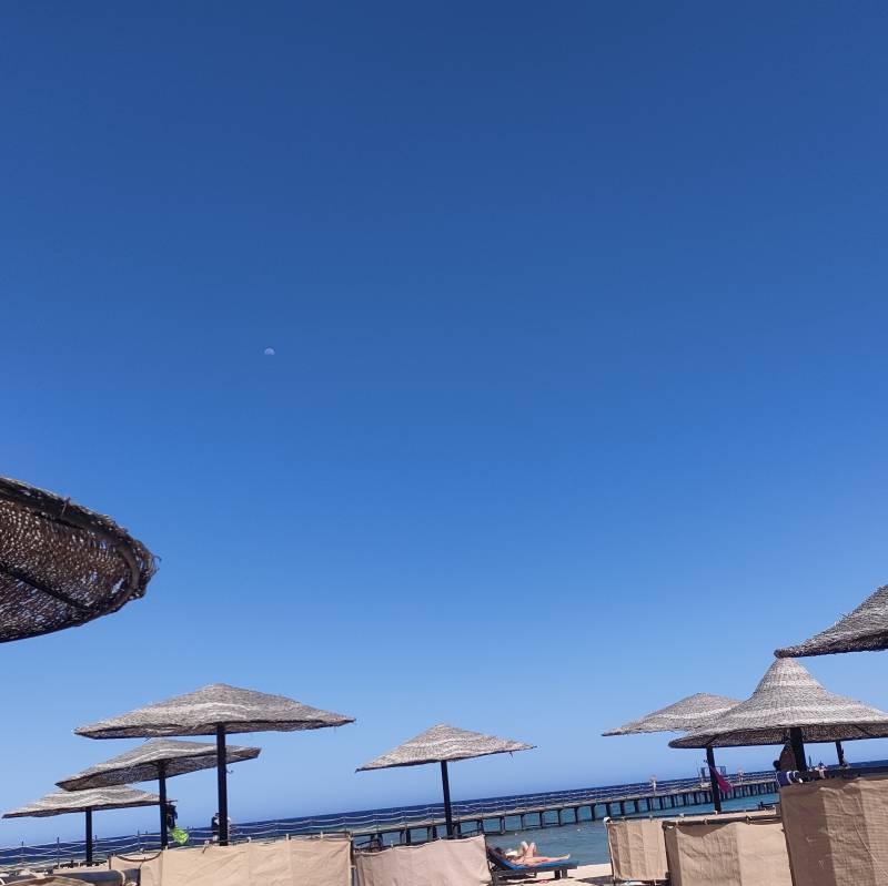 Fotosegnalazione di Marsa alam
