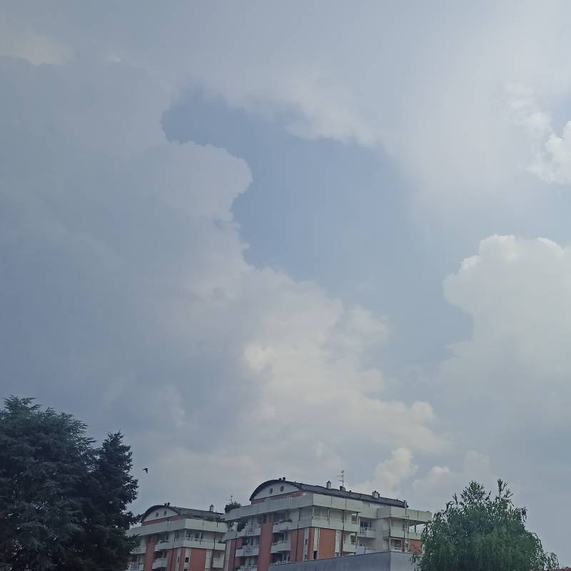 Fotosegnalazione di Gallarate