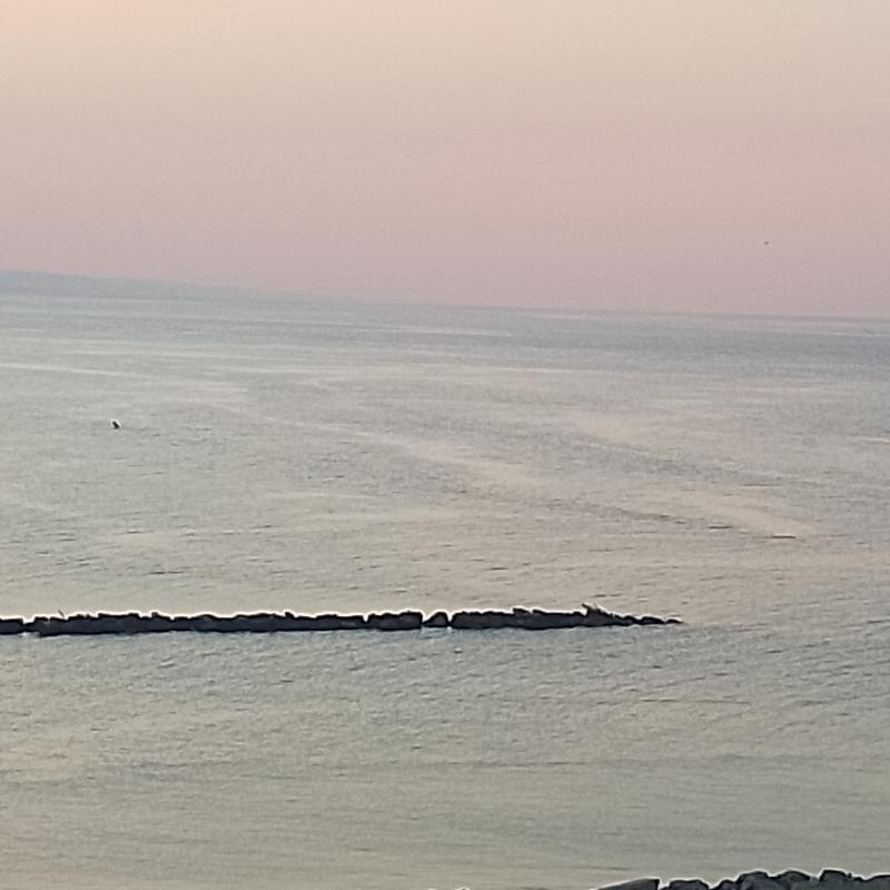 Fotosegnalazione di Montesilvano