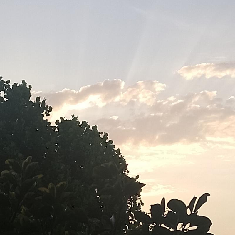 Tra le nuvole