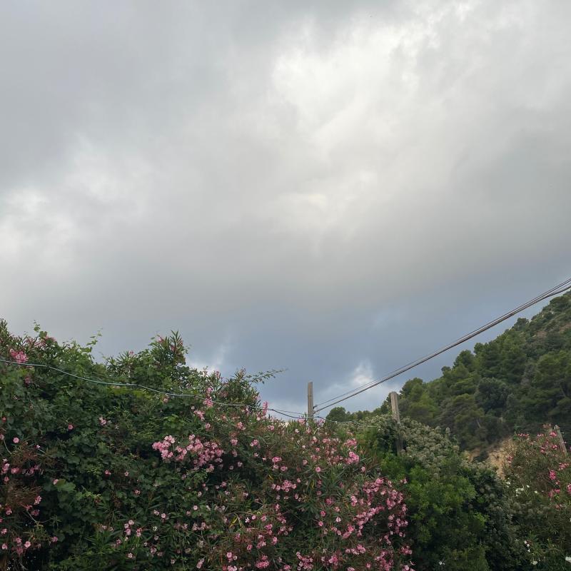 Fotosegnalazione di Bergeggi
