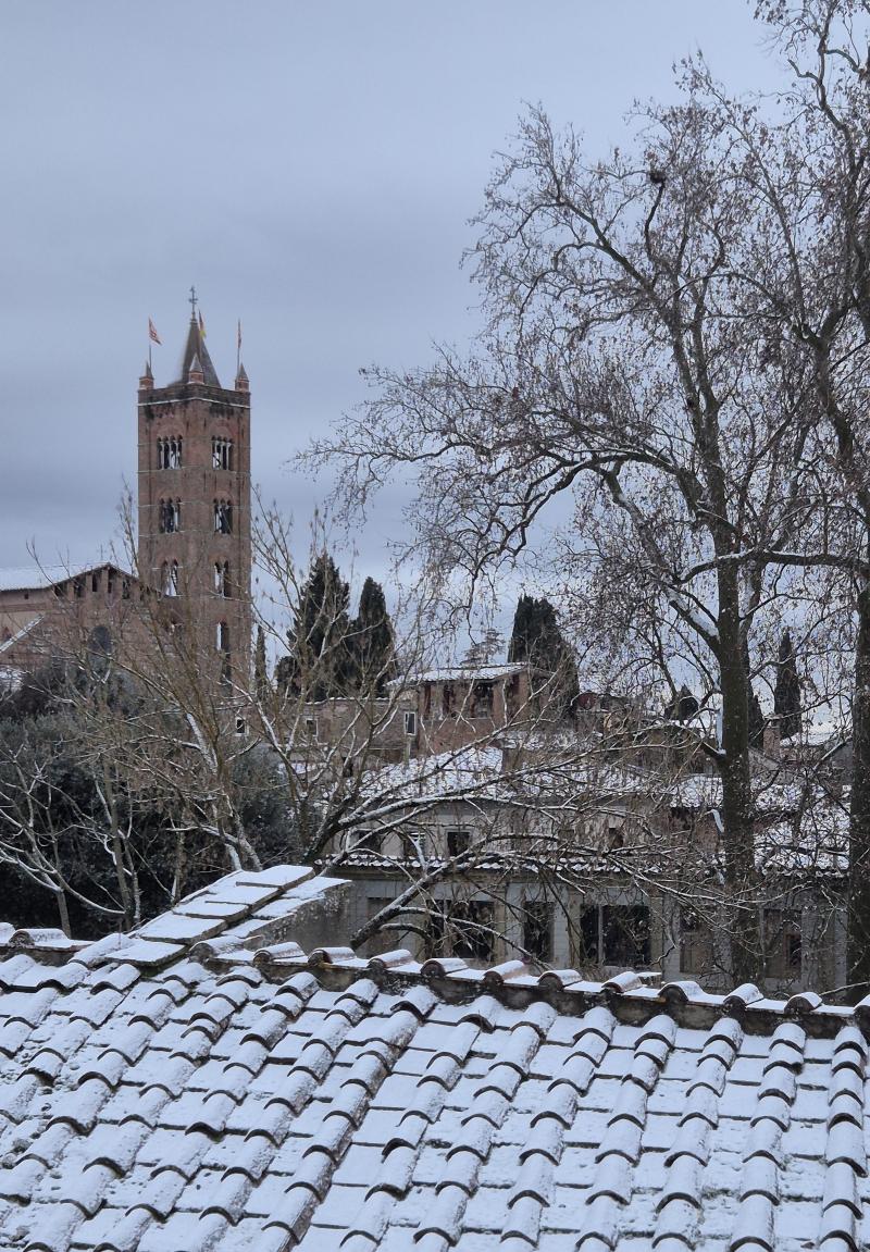 basilica dei servi