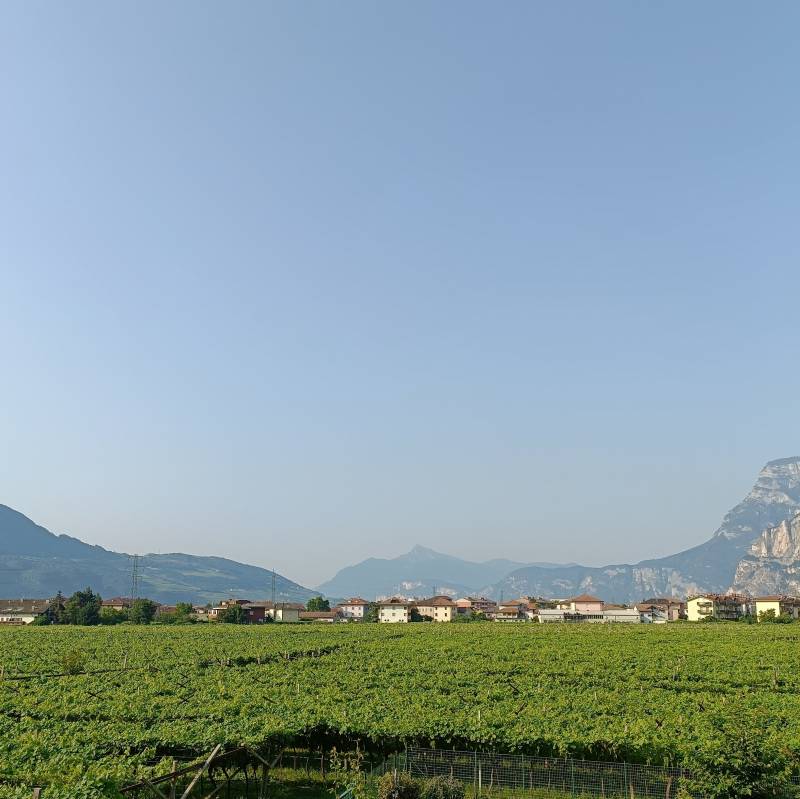 Fotosegnalazione di Mezzocorona