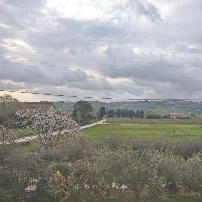 Fotosegnalazione di Potenza picena