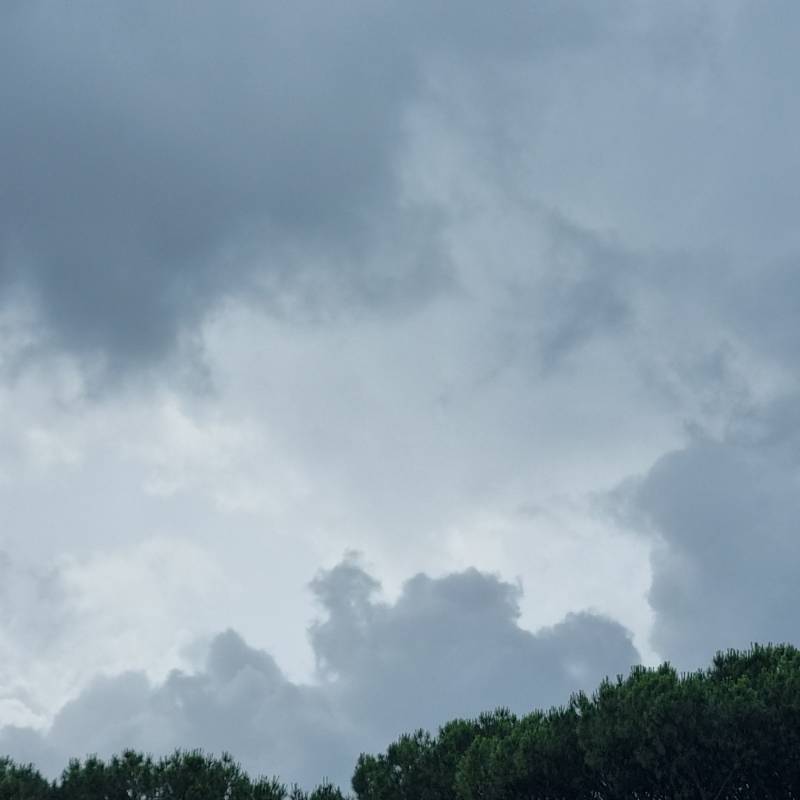 Fotosegnalazione di Roma tor di quinto