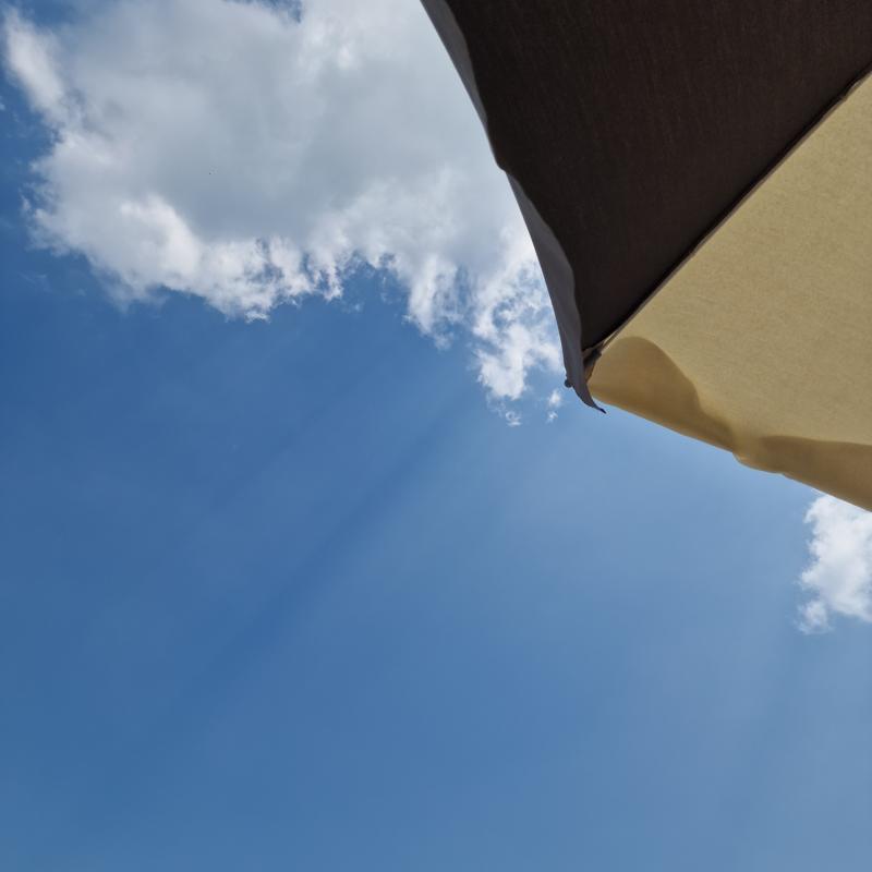Fotosegnalazione di Rosolina mare