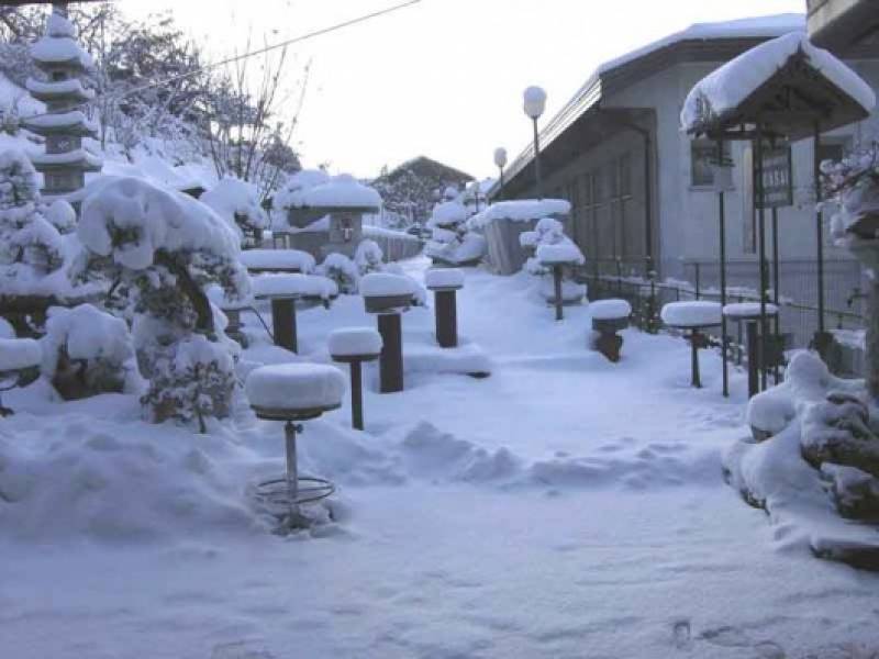 Nevicata sul giardino Bonsai