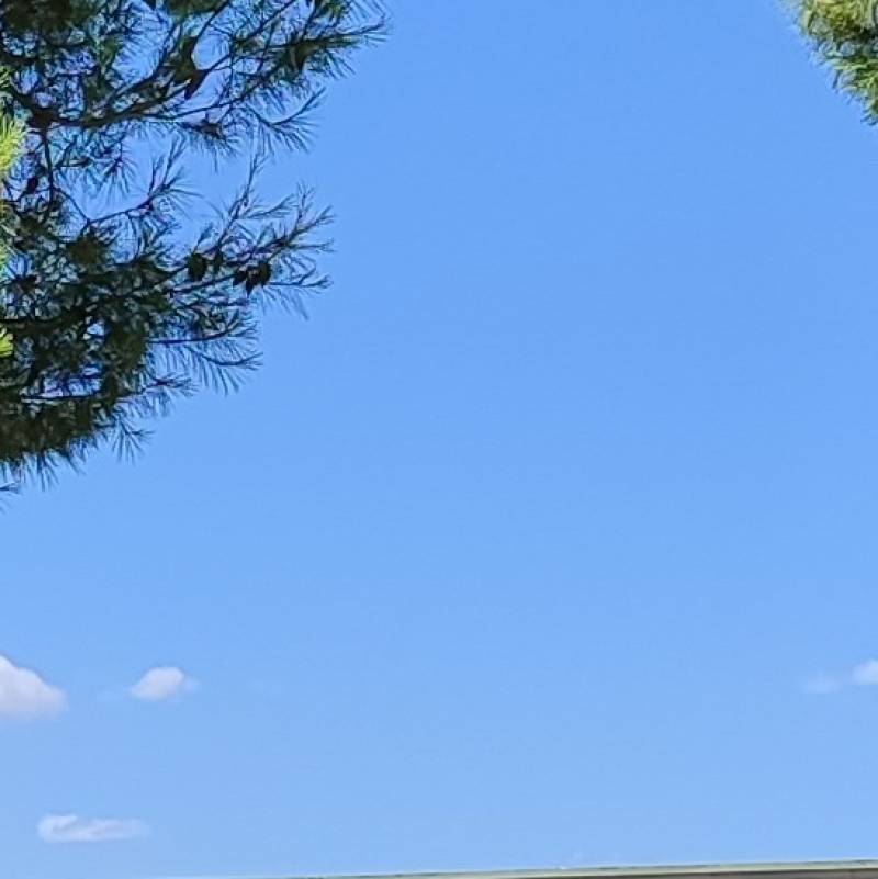 Fotosegnalazione di Casamassima