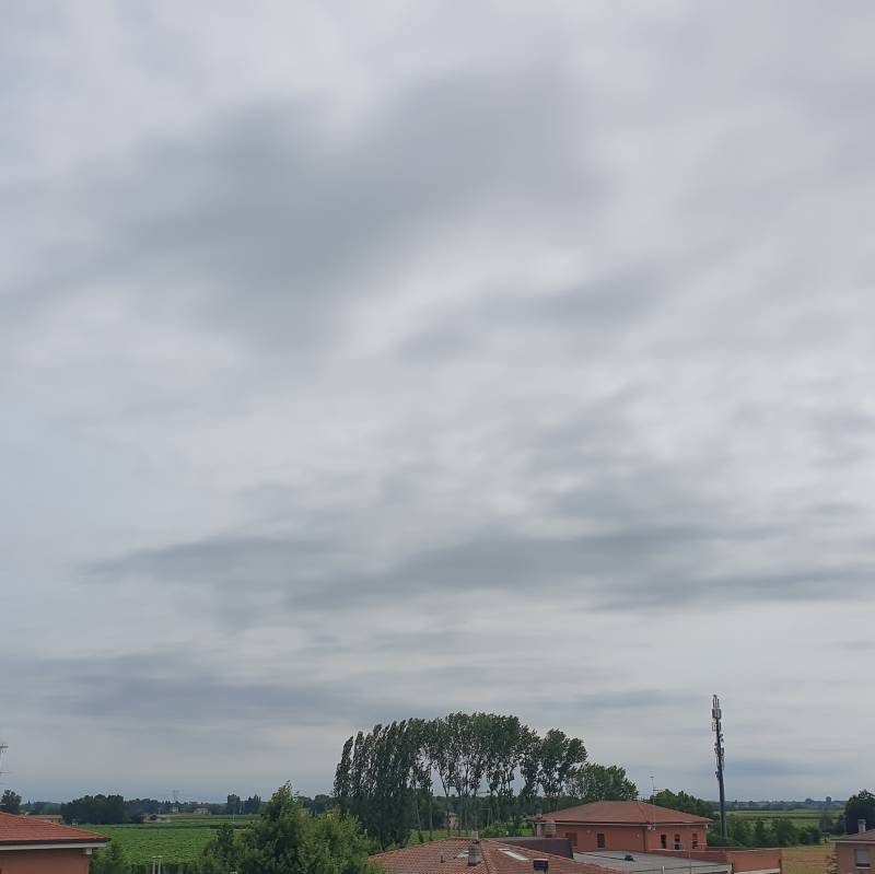 Fotosegnalazione di Limidi