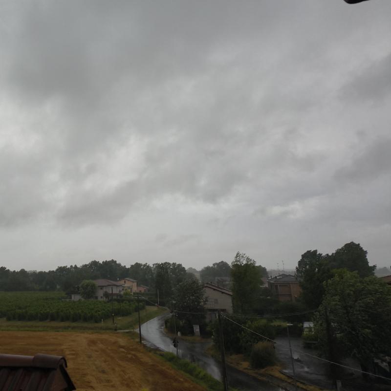 Fotosegnalazione di Limidi