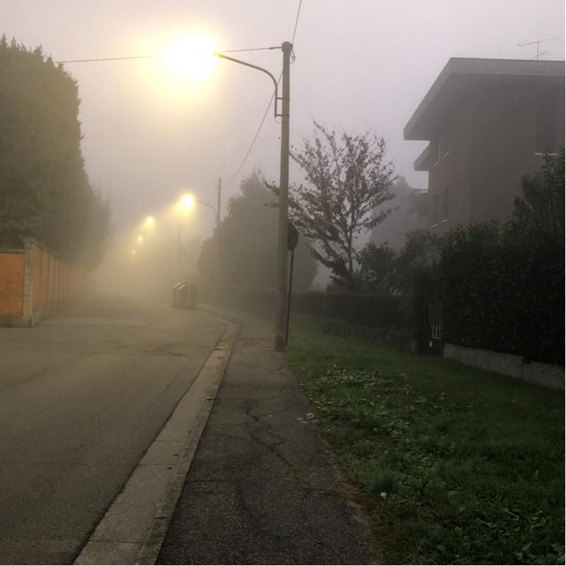 Fotosegnalazione di Roncadelle