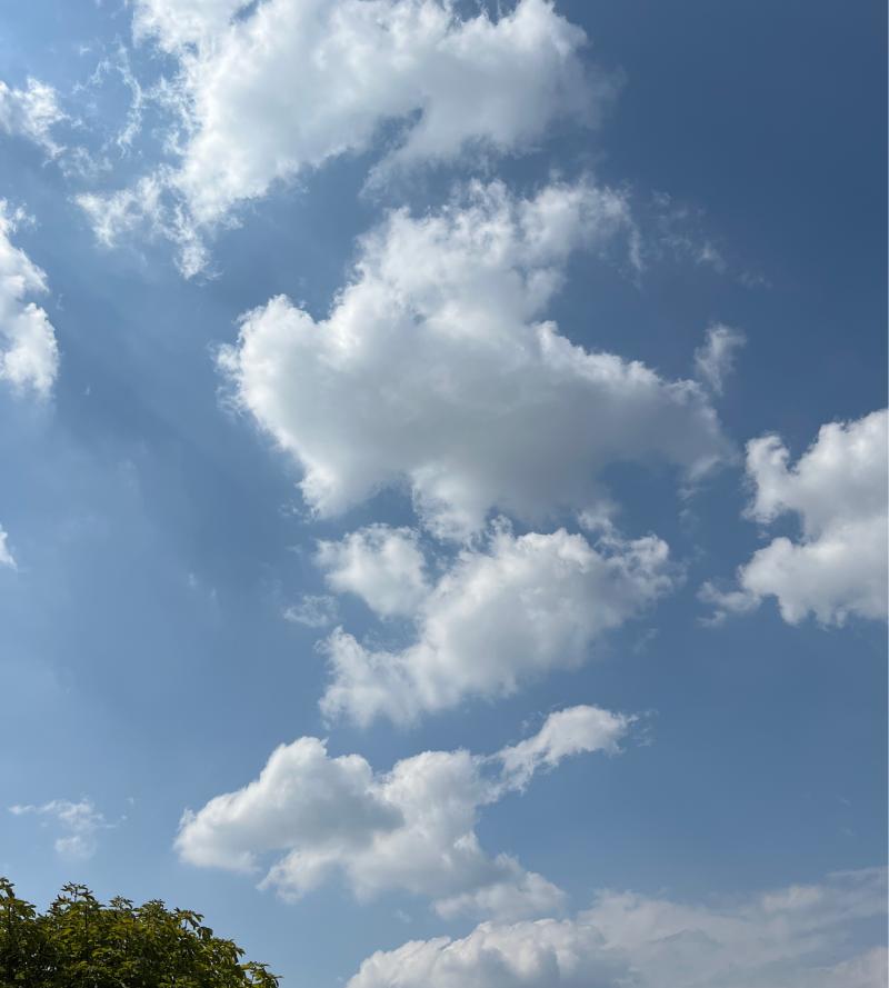 Fotosegnalazione di Nichelino