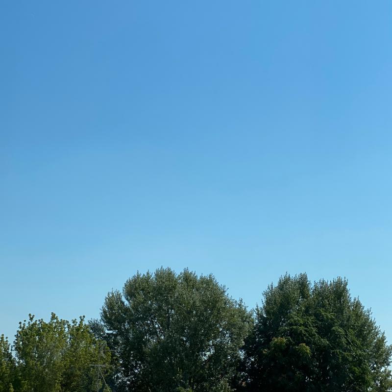 Fotosegnalazione di Motta di livenza