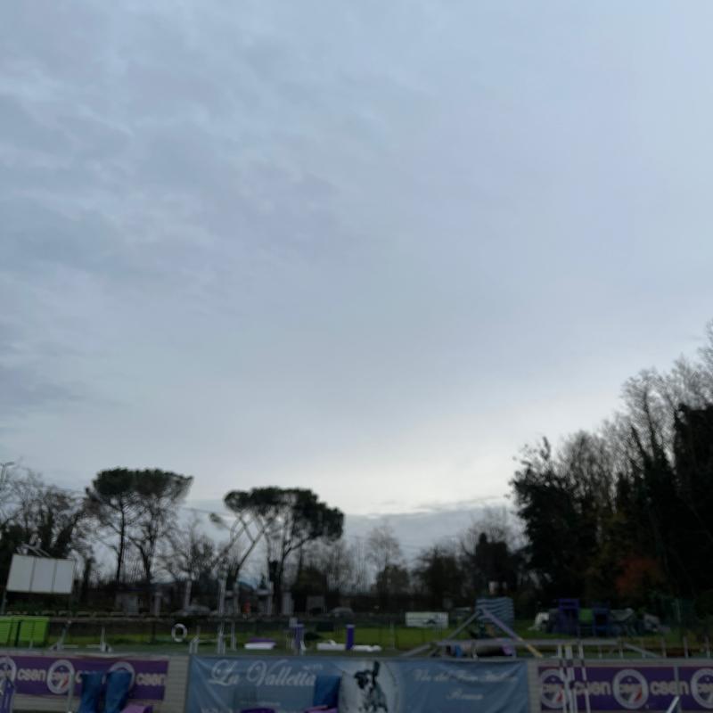 Fotosegnalazione di Roma tor di quinto