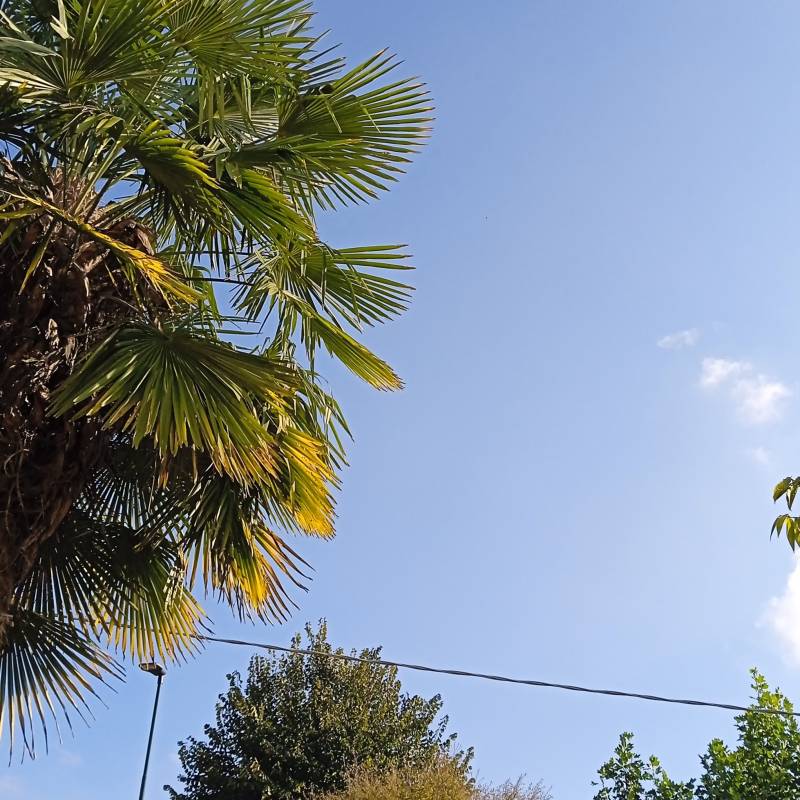 Fotosegnalazione di Scanzorosciate