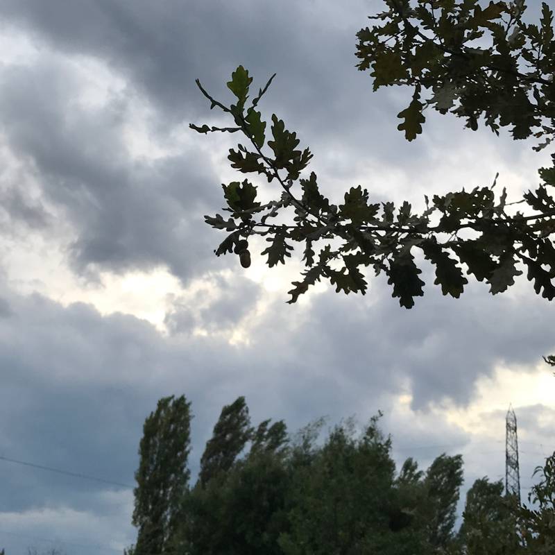 Temporale in arrivo nelloasi del colombarone
