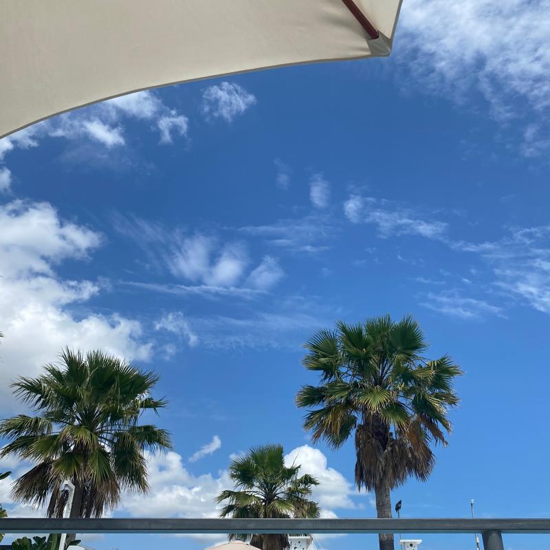 Fotosegnalazione di Tortoreto lido