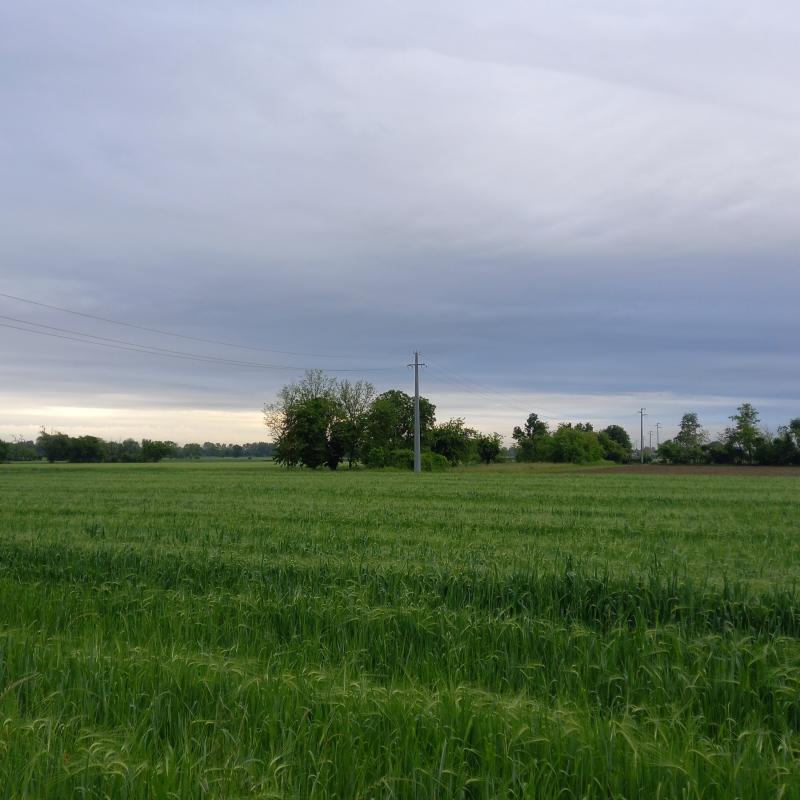 Fotosegnalazione di Fonte