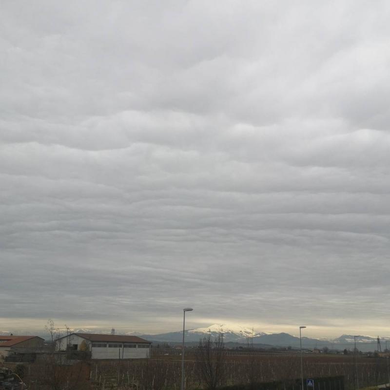 Fotosegnalazione di Mozzecane