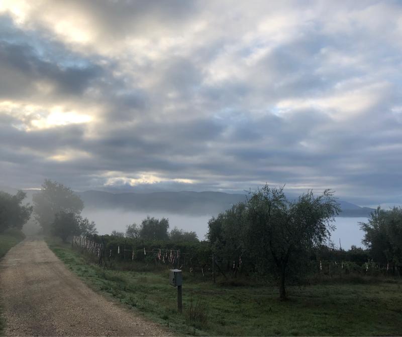 Fotosegnalazione di Pontassieve