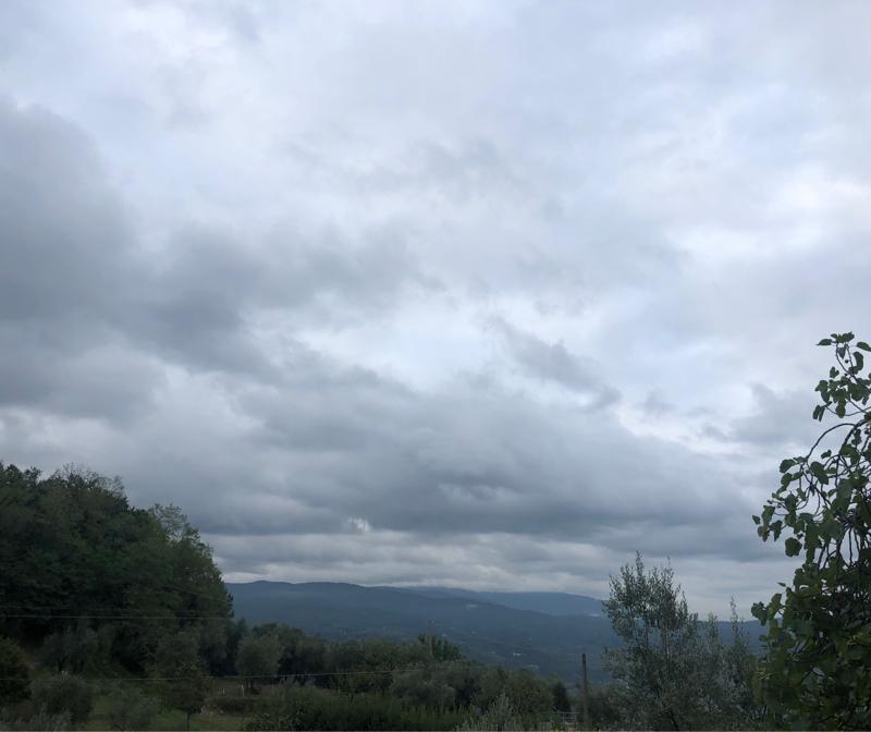 Fotosegnalazione di Pontassieve