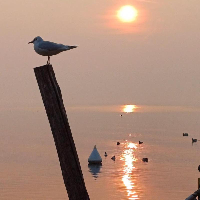 tramonto magico