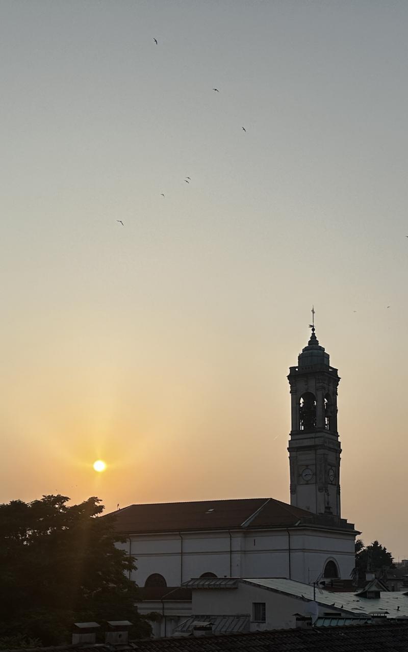 12-6-2025 caldo tramonto con rondini