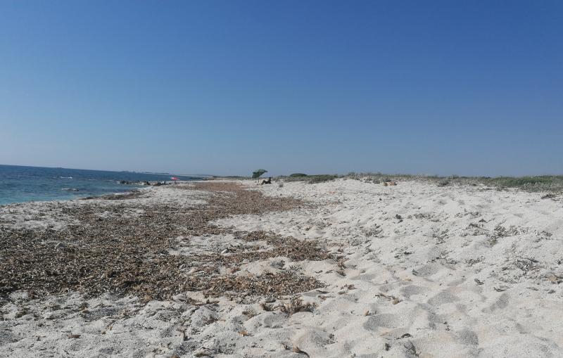 spiaggia quarzo o chicco di riso