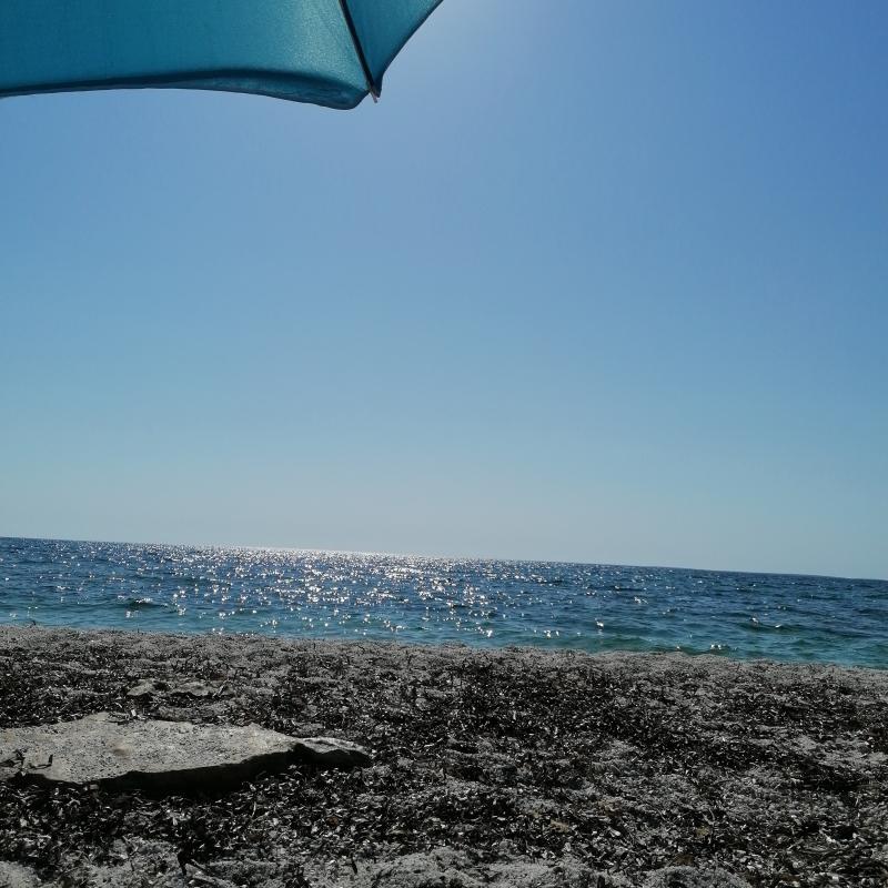 Is arutas