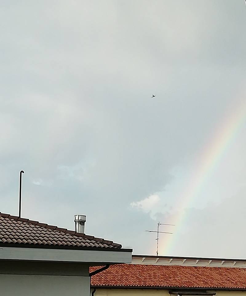 Fotosegnalazione di golosine verona