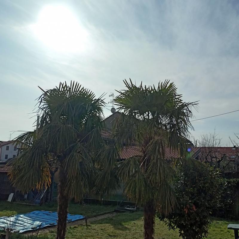 Fotosegnalazione di Gerenzano