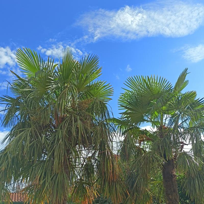 Fotosegnalazione di Gerenzano