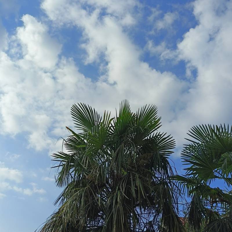 Fotosegnalazione di Gerenzano