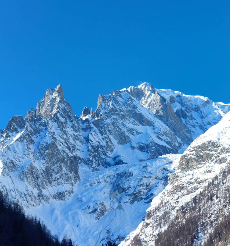 aiguille noire