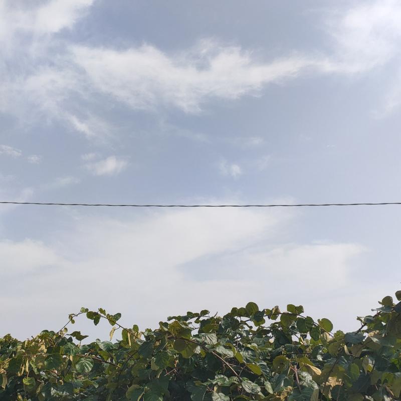 Fotosegnalazione di Ponti sul mincio