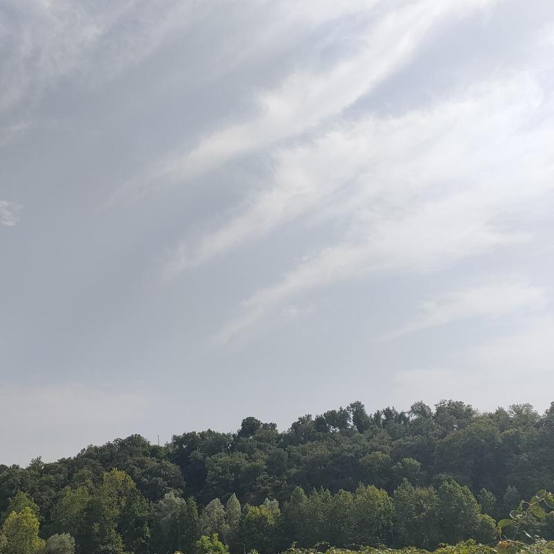 Fotosegnalazione di Ponti sul mincio