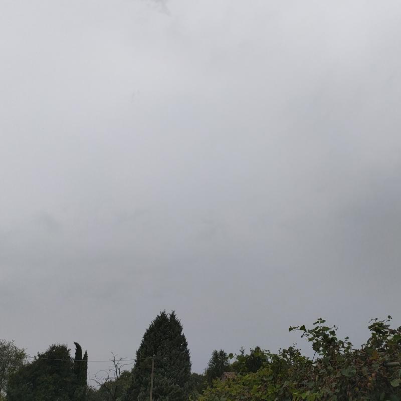 Fotosegnalazione di Ponti sul mincio