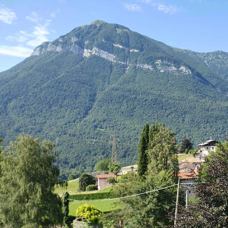 Fotosegnalazione di Grandola ed uniti