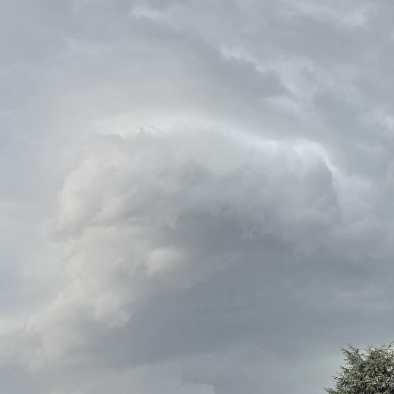 Fotosegnalazione di Boretto