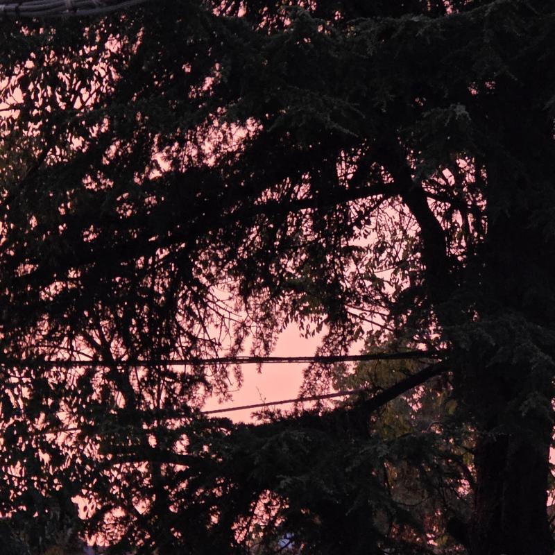 Fotosegnalazione di Boretto