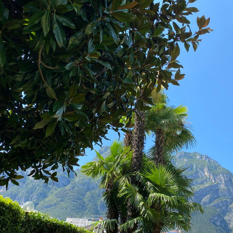 Fotosegnalazione di Riva del garda
