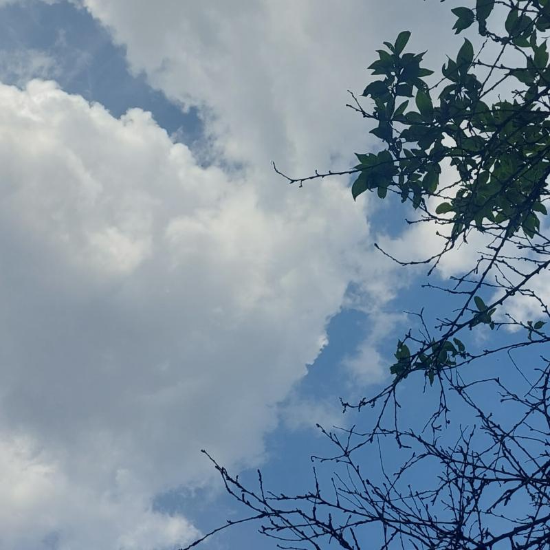 Fotosegnalazione di Formigine