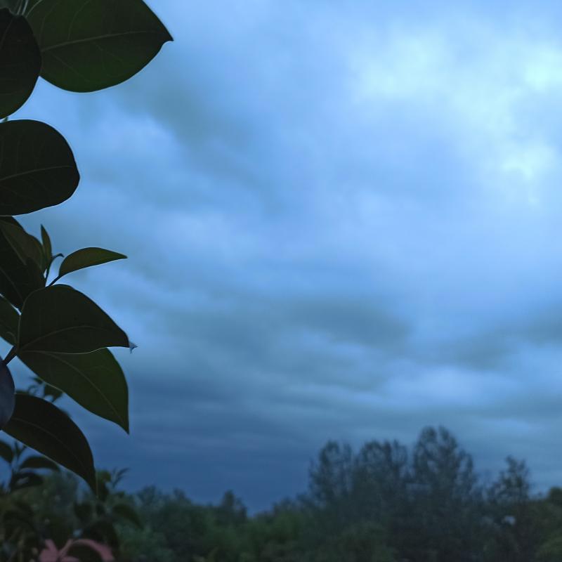 Fotosegnalazione di Pessano con bornago