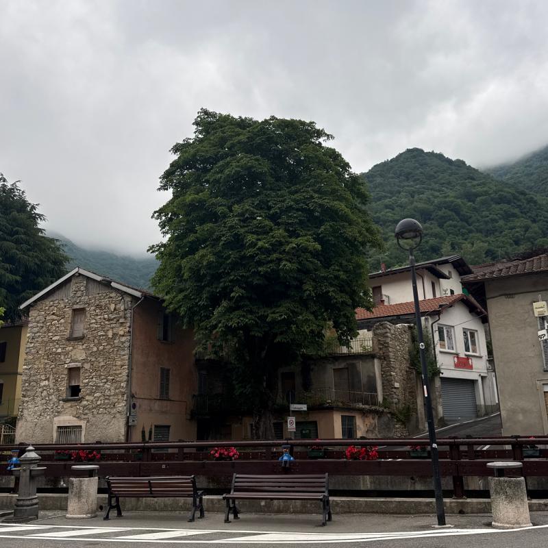 Fotosegnalazione di Erve