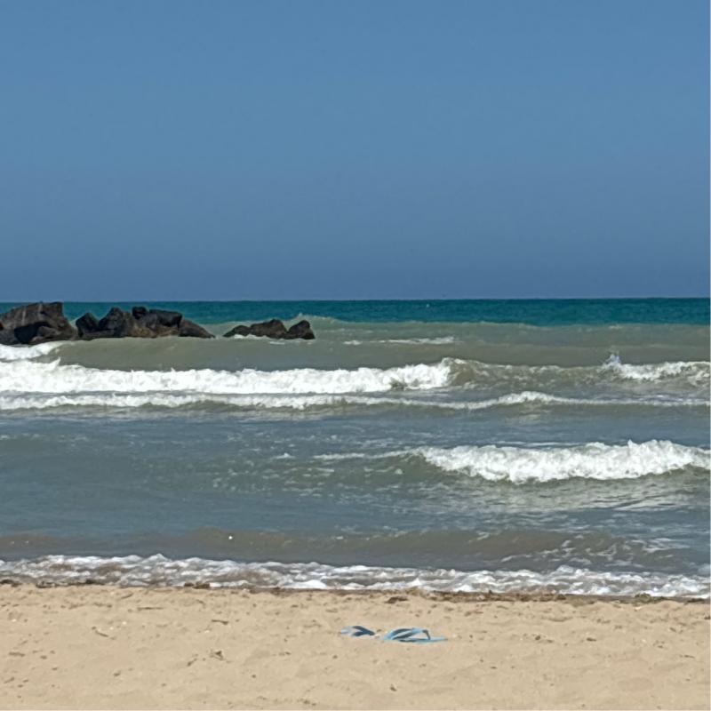 Segnalazione onde del mare