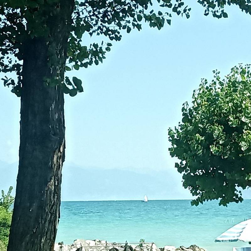 Fotosegnalazione di Santa maria di lugana