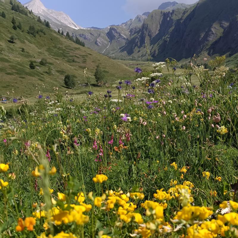 la natura
